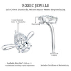 Rosec Jewels-IGI Certified V Shaped Lab Grown Diamond Pear Engagement Ring 3 Carat