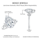 Rosec Jewels-IGI Certified Nature Inspired Lab Grown Diamond Pear Engagement Ring 4 Carat