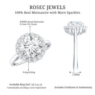 Classic Round Cut Moissanite Big Engagement Ring D-VS1 - Rosec Jewels