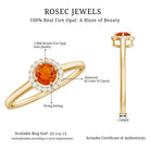 Rosec Jewels-Natural Fire Opal Promise Ring with Diamond Halo
