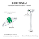 Emerald 3 Stone Ring with Diamond AAA - Rosec Jewels