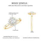 Round Moissanite Engagement Ring with Halo D-VS1 - Rosec Jewels