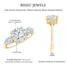 Rosec Jewels-IGI Documented 3 Carat Cushion Cut Lab Grown Diamond Journey Ring