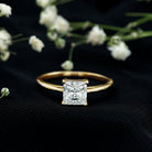 1 CT Princess Cut Moissanite Solitaire Ring for Women D-VS1 - Rosec Jewels