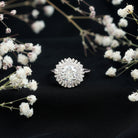Certified Moissanite Double Halo Engagement Ring for Women D-VS1 - Rosec Jewels