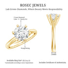 Lab Grown 2 Carat Diamond Solitaire Engagement Ring with IGI Certificate Lab - ( E-VS1 ) - Rosec Jewels
