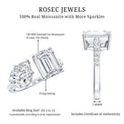 Toi Et Moi Moissanite Engagement Ring for Women D-VS1 - Rosec Jewels