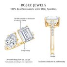 Toi Et Moi Moissanite Engagement Ring for Women D-VS1 - Rosec Jewels